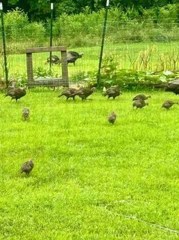 137 Pleasant Valley Road Brattleboro VT 05301