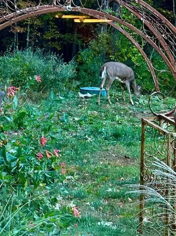 137 Pleasant Valley Road Brattleboro VT 05301