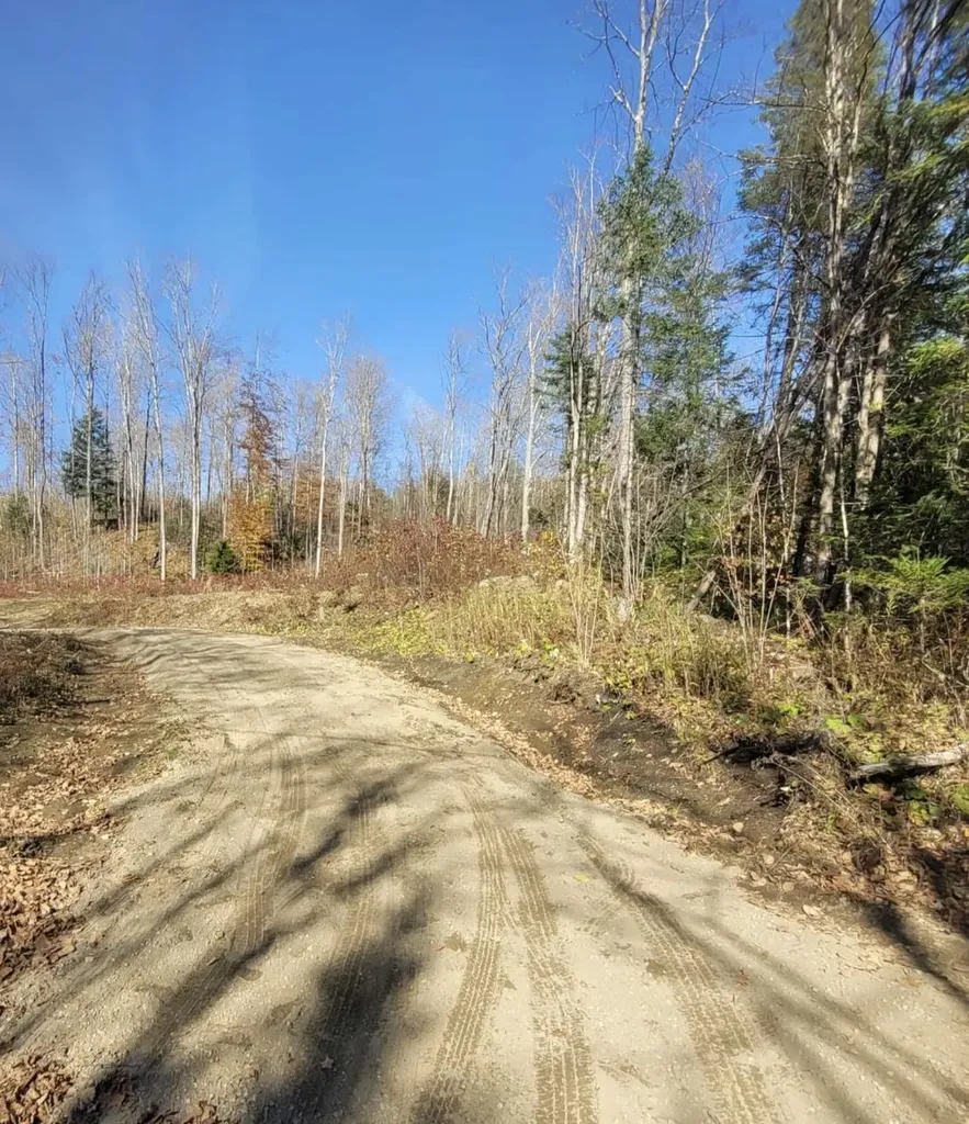 0 Sutton Road Wheelock VT 05851