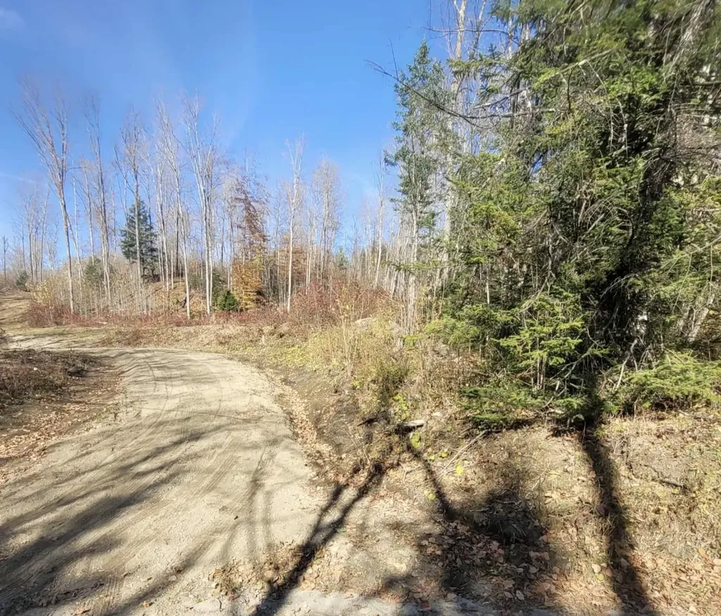 0 Sutton Road Wheelock VT 05851