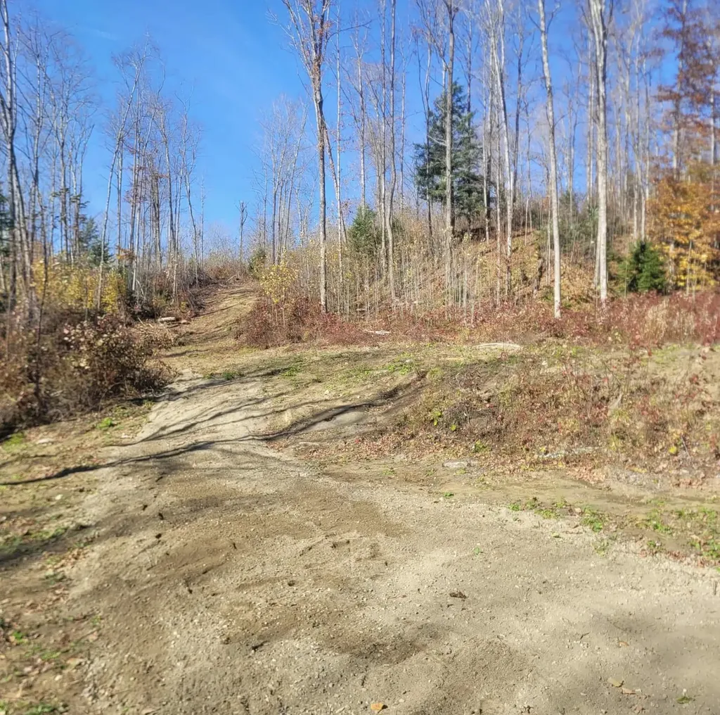 0 Sutton Road Wheelock VT 05851