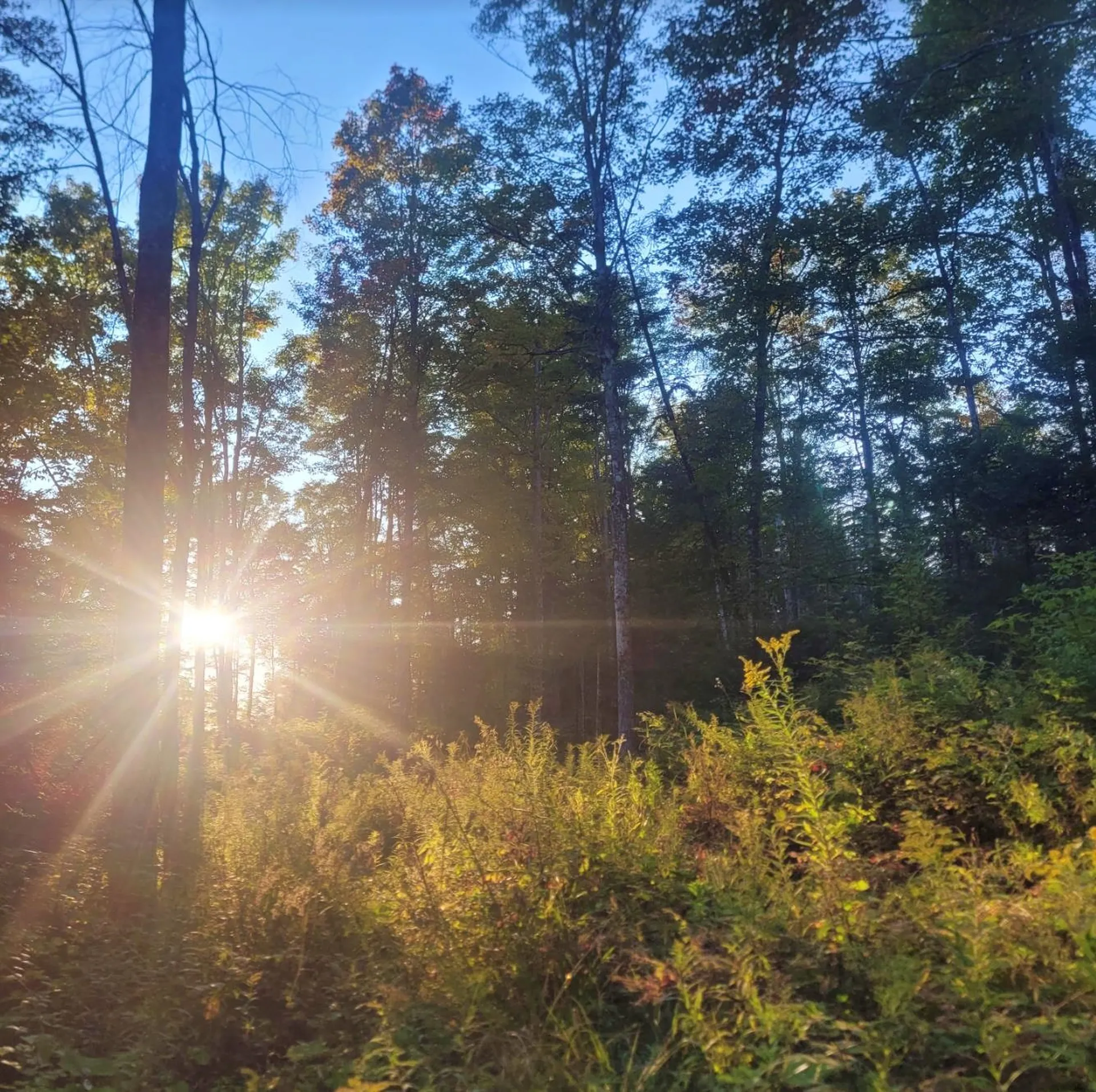 0 Sutton Road Wheelock VT 05851