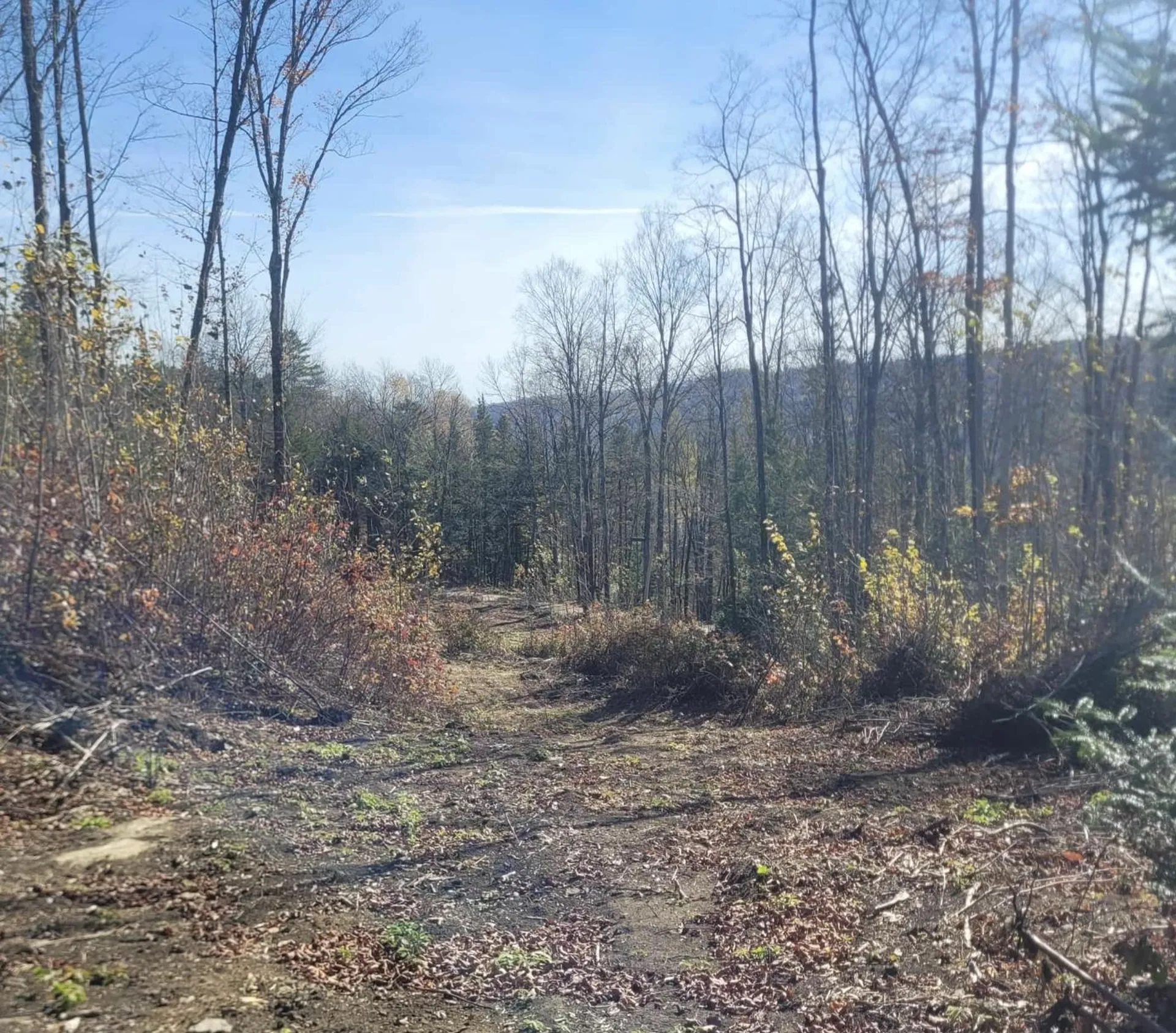 0 Sutton Road Wheelock VT 05851
