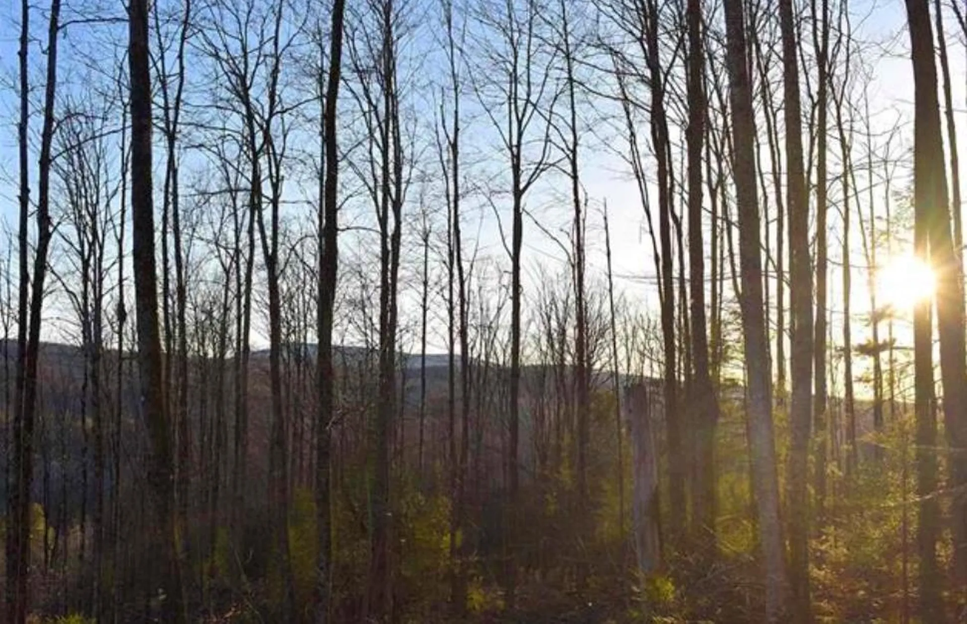 0 Sutton Road Wheelock VT 05851