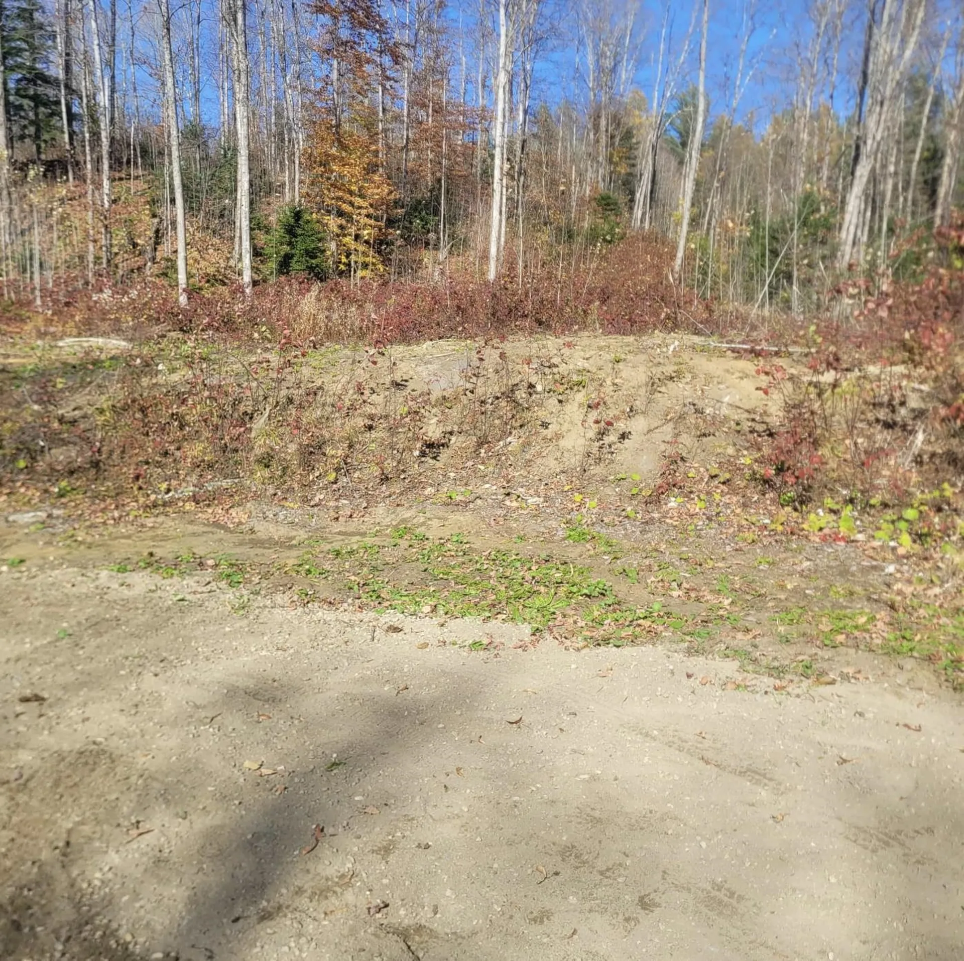 0 Sutton Road Wheelock VT 05851