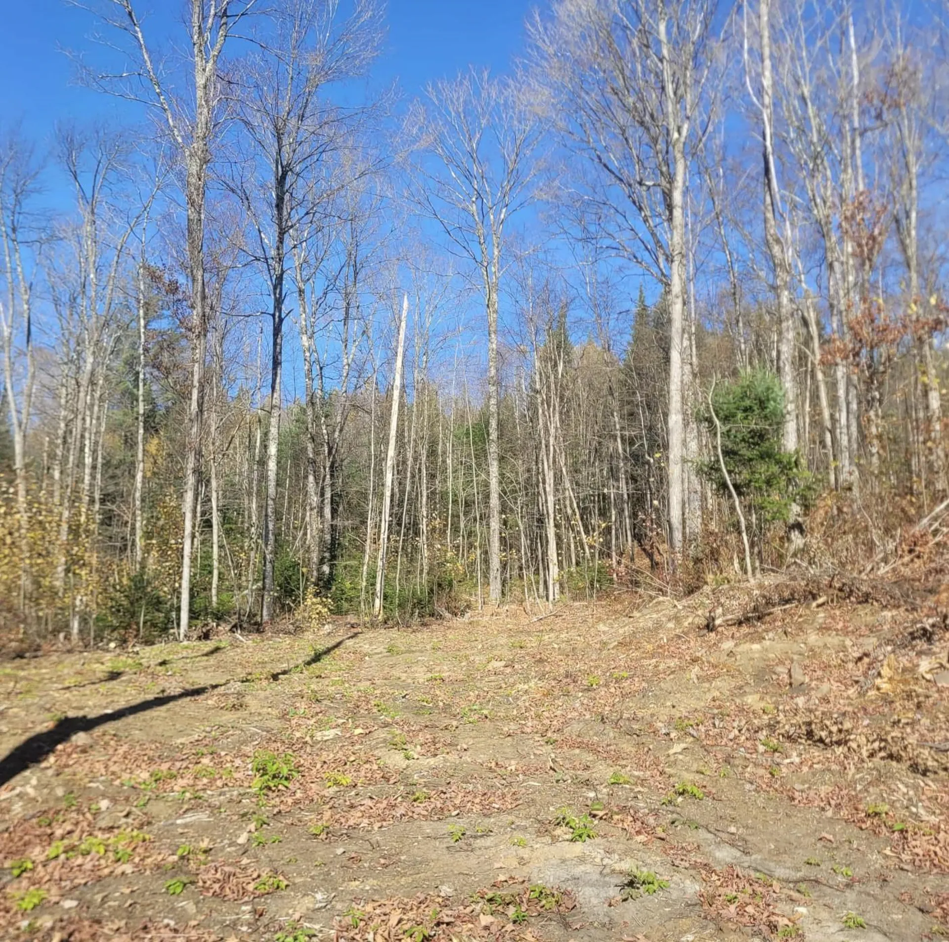 0 Sutton Road Wheelock VT 05851