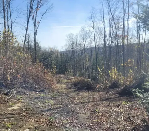 0 Sutton Road Wheelock VT 05851