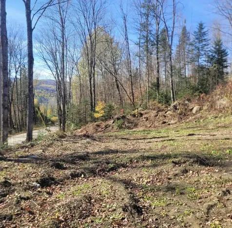 0 Sutton Road Wheelock VT 05851