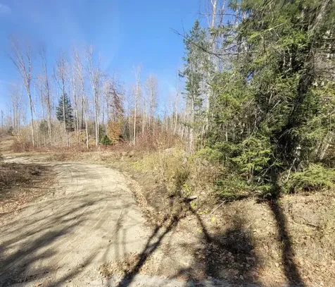 0 Sutton Road Wheelock VT 05851