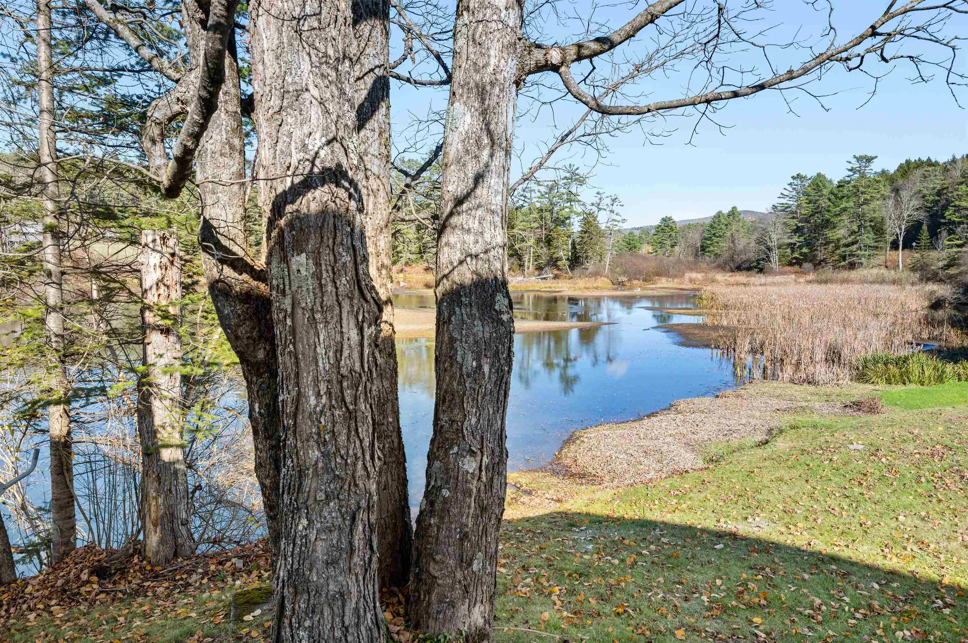 4655 Vt Route 14 Calais VT 05650