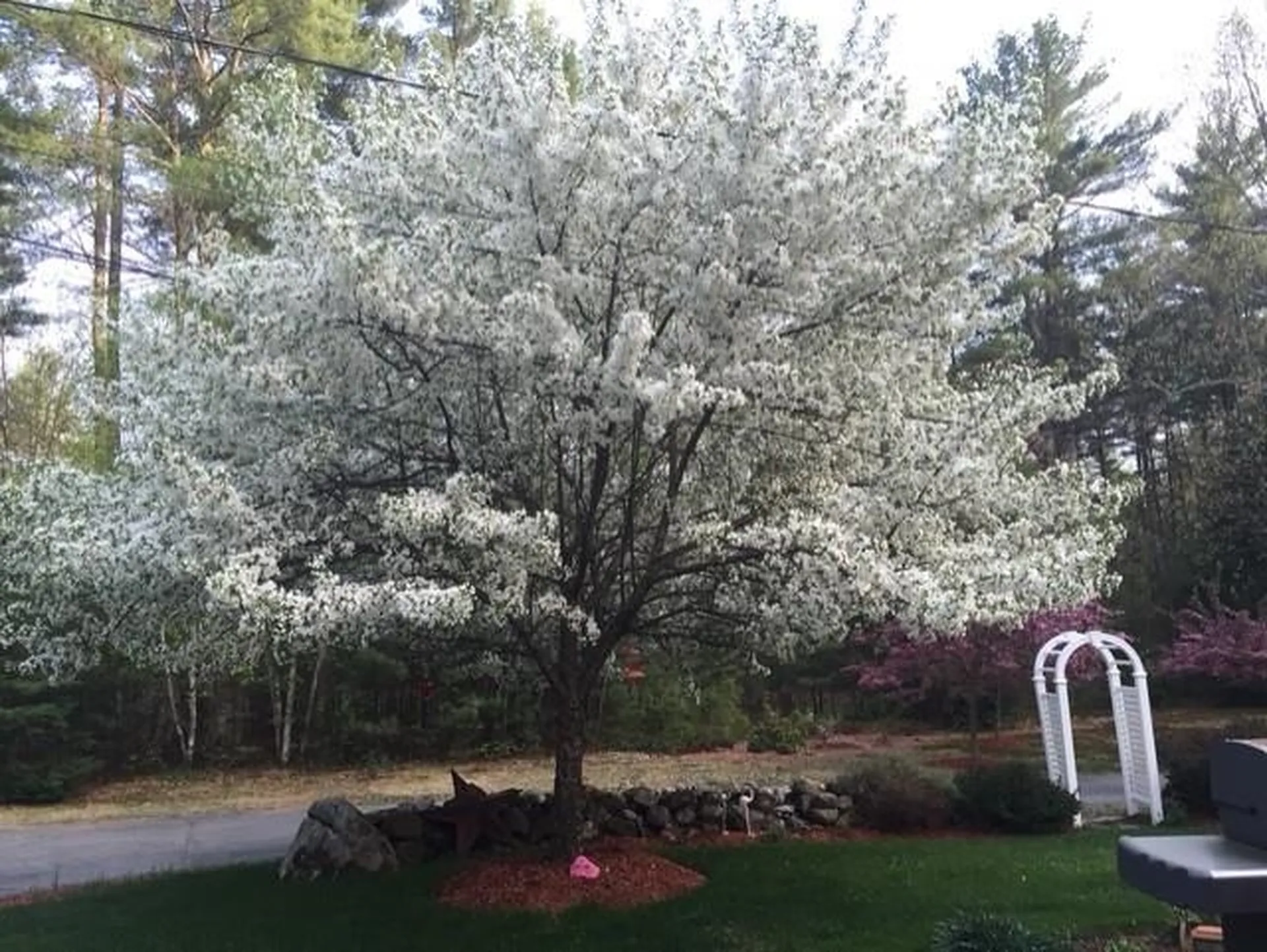 46 Oak Hill Road Brookline NH 03033