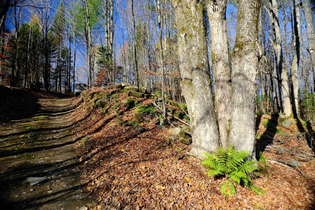 592 Vertical Mile Road Wheelock VT 05851