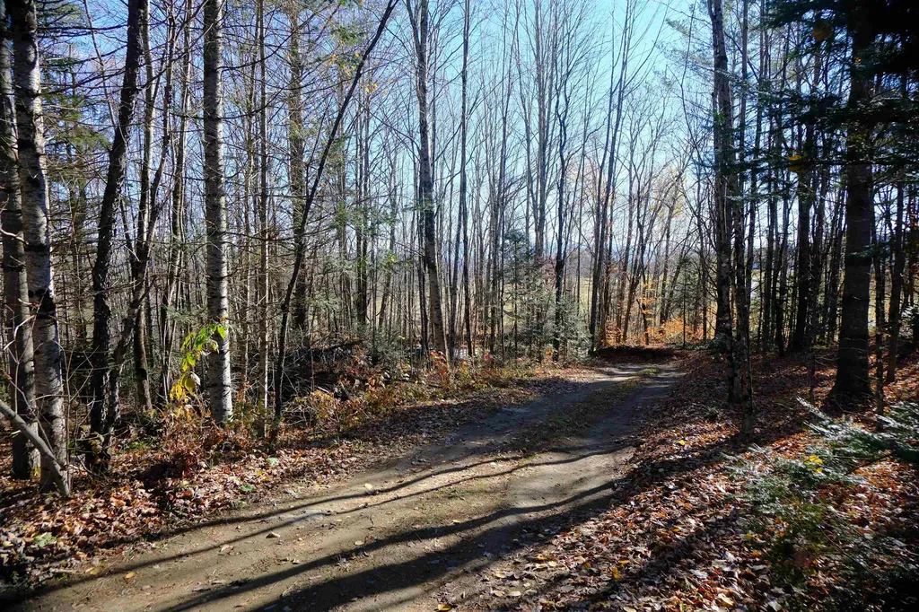 592 Vertical Mile Road Wheelock VT 05851