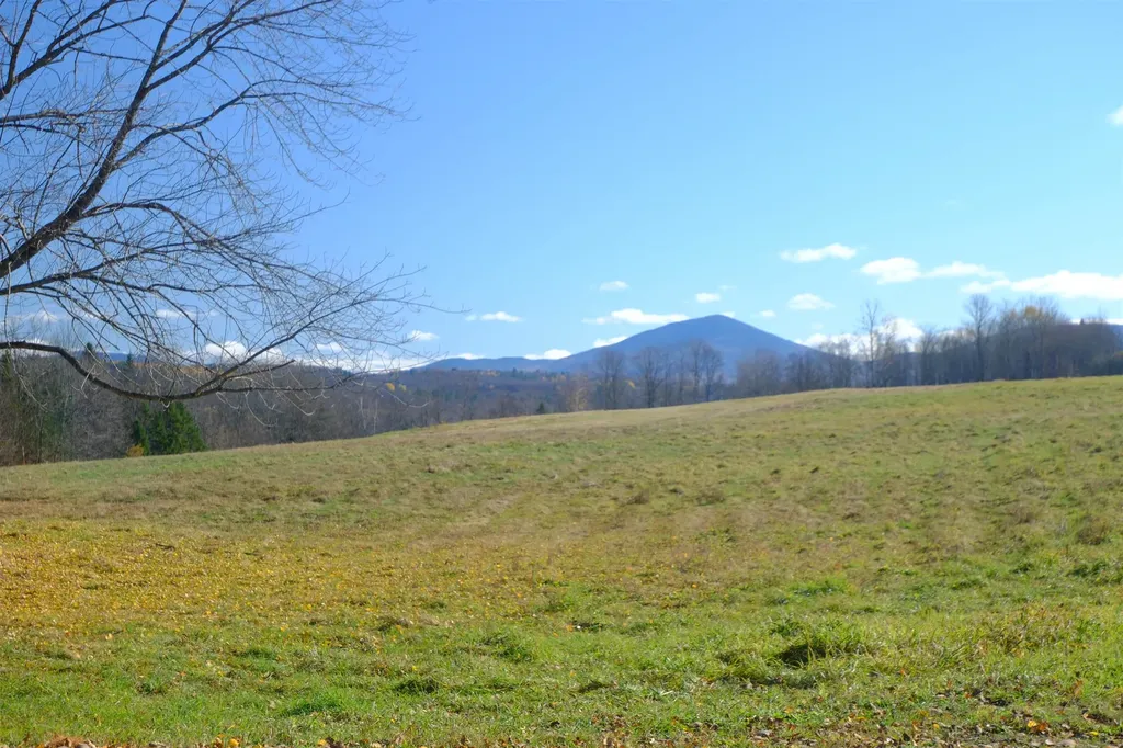 592 Vertical Mile Road Wheelock VT 05851