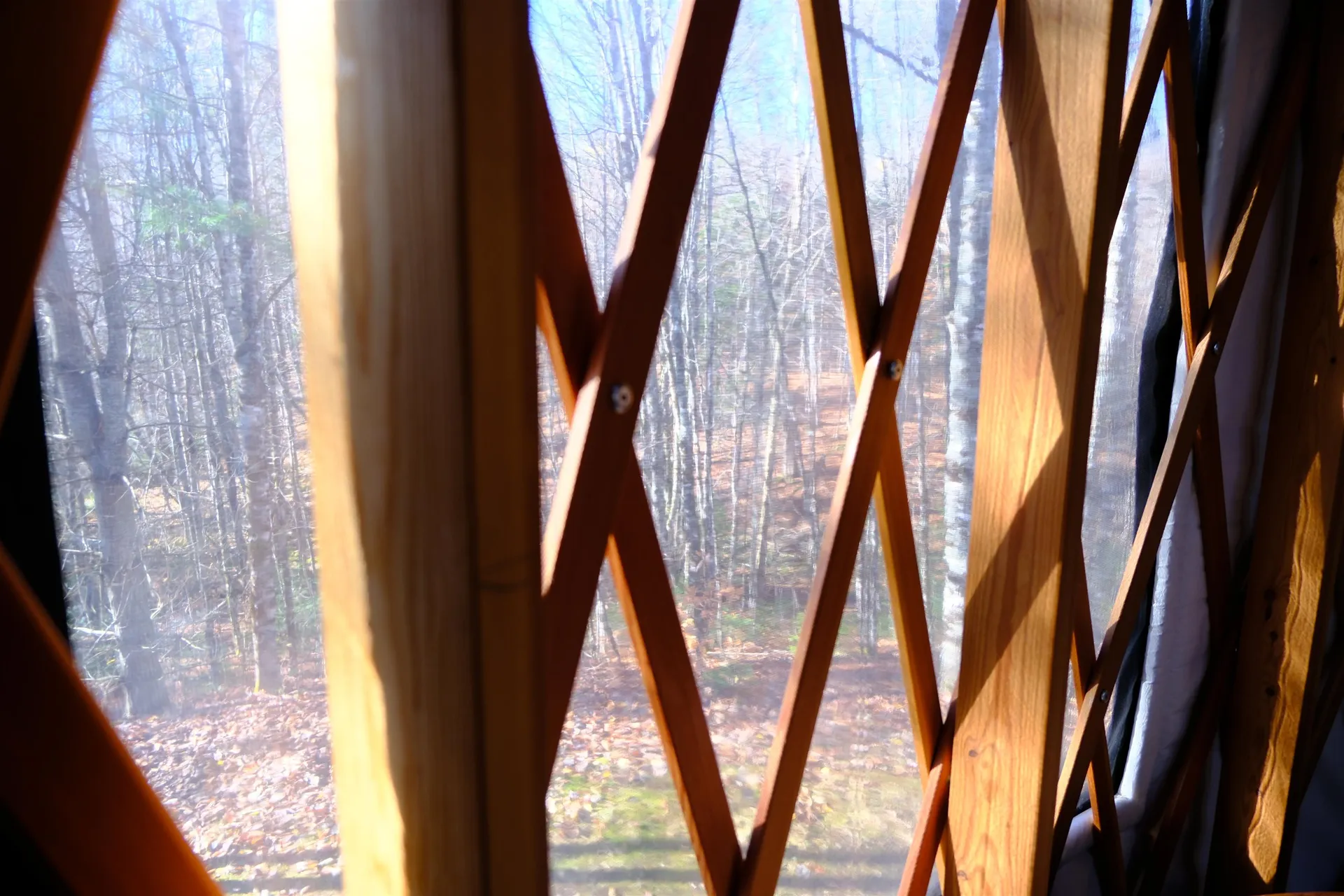 592 Vertical Mile Road Wheelock VT 05851