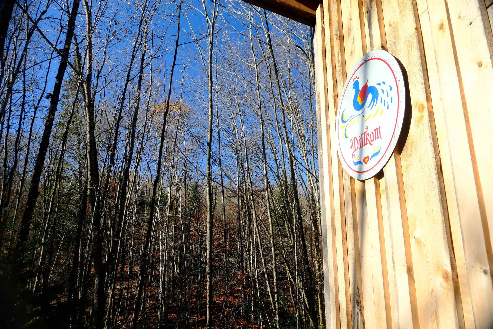 592 Vertical Mile Road Wheelock VT 05851