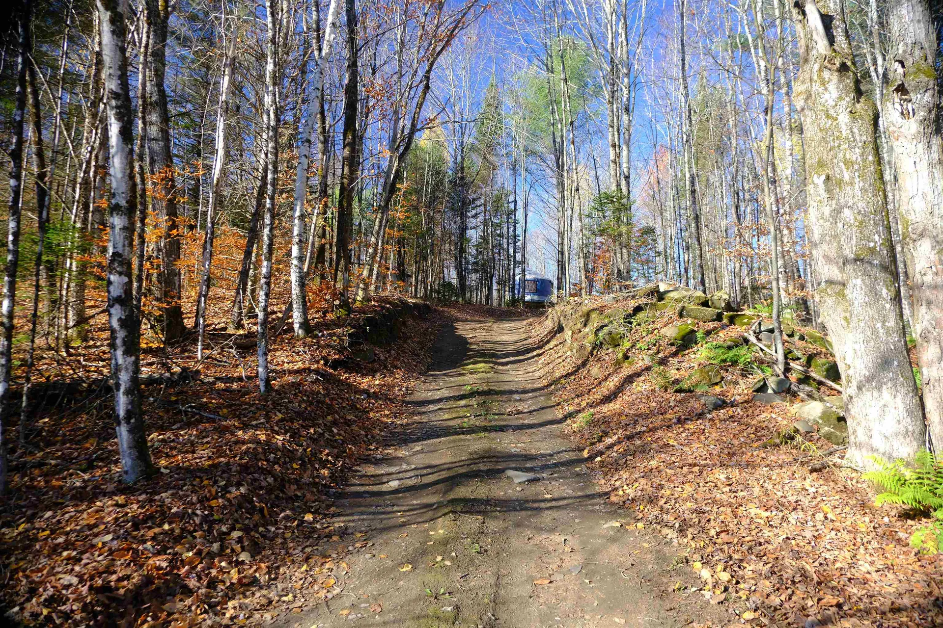 592 Vertical Mile Road Wheelock VT 05851