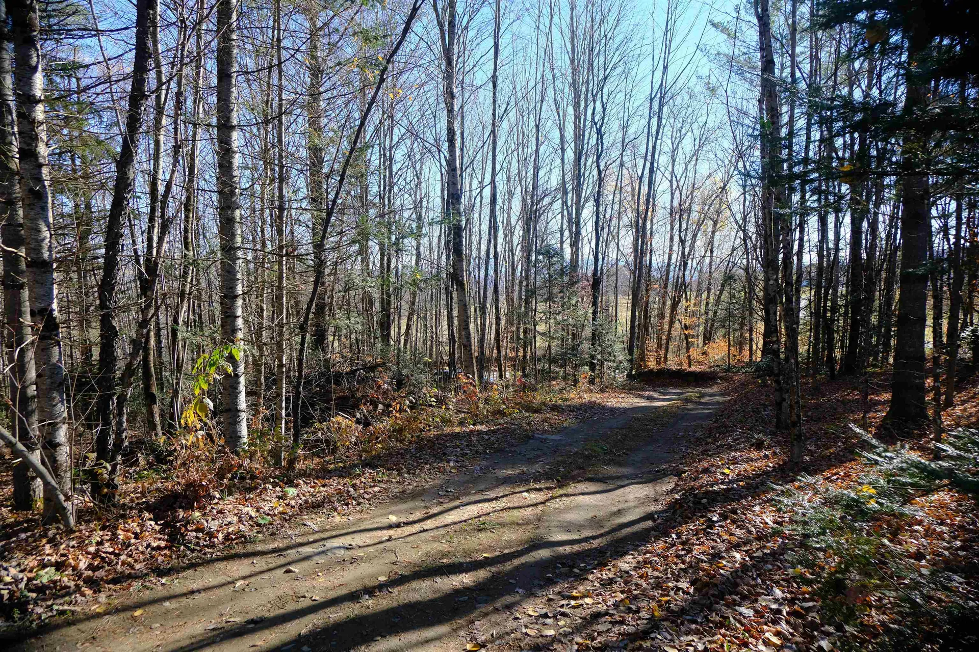 592 Vertical Mile Road Wheelock VT 05851