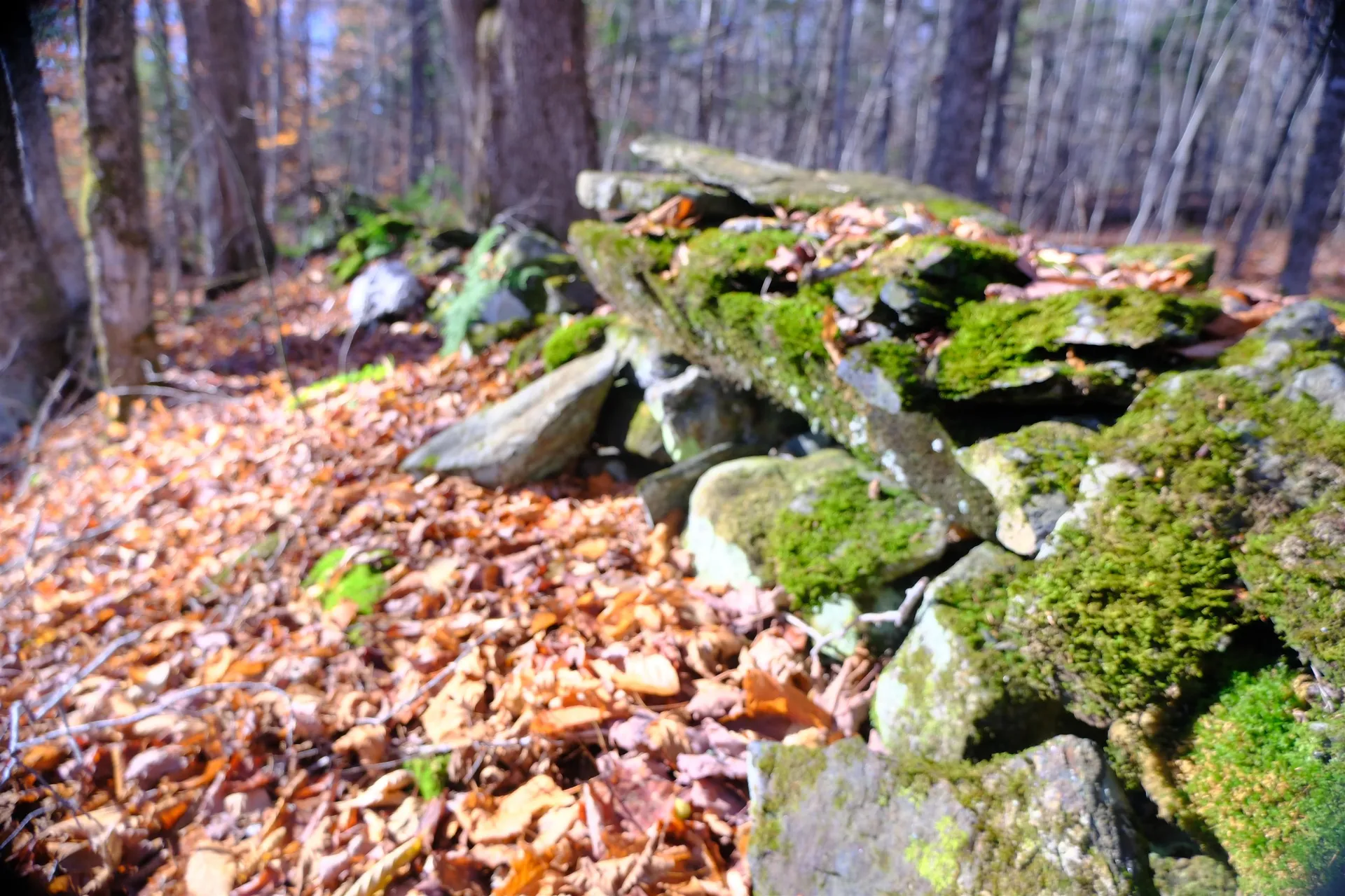 592 Vertical Mile Road Wheelock VT 05851