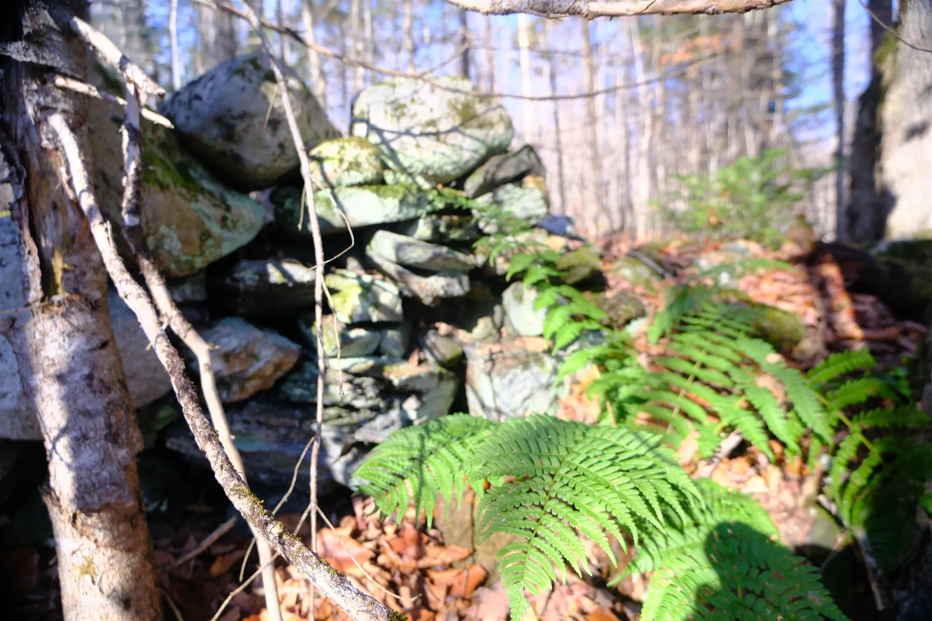 592 Vertical Mile Road Wheelock VT 05851