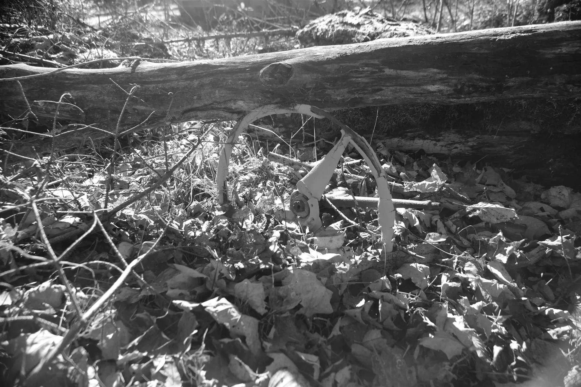 592 Vertical Mile Road Wheelock VT 05851