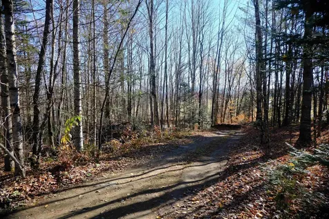 592 Vertical Mile Road Wheelock VT 05851
