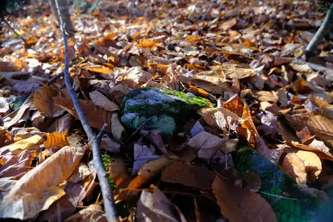 592 Vertical Mile Road Wheelock VT 05851