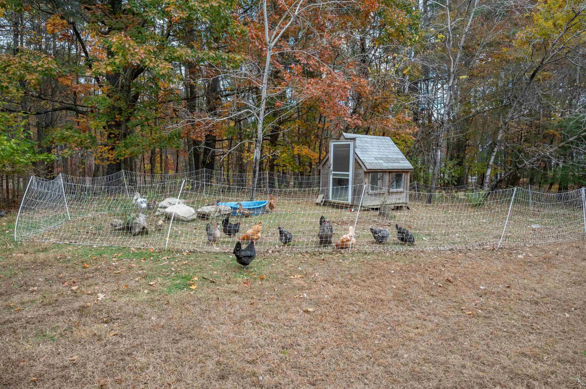 84 County Farm Cross Road Dover NH 03820