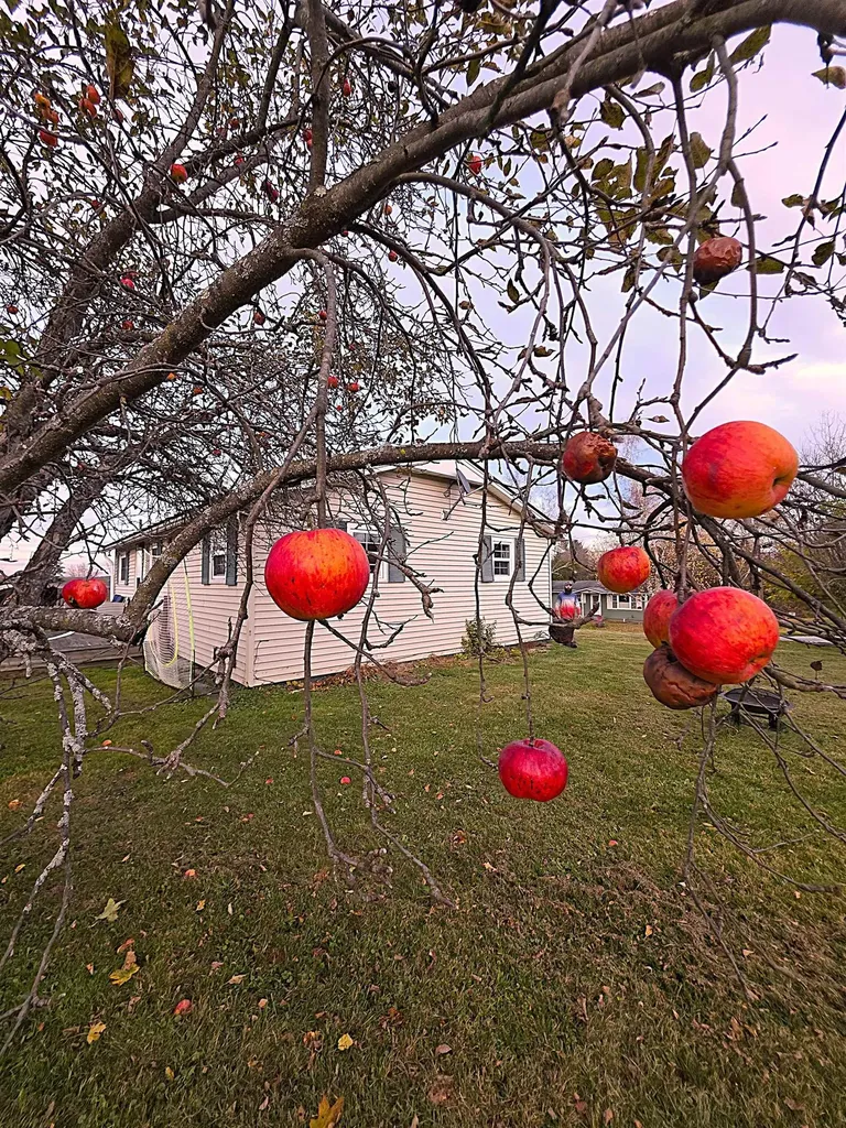 7 Westwood Parkway Barre City VT 05641