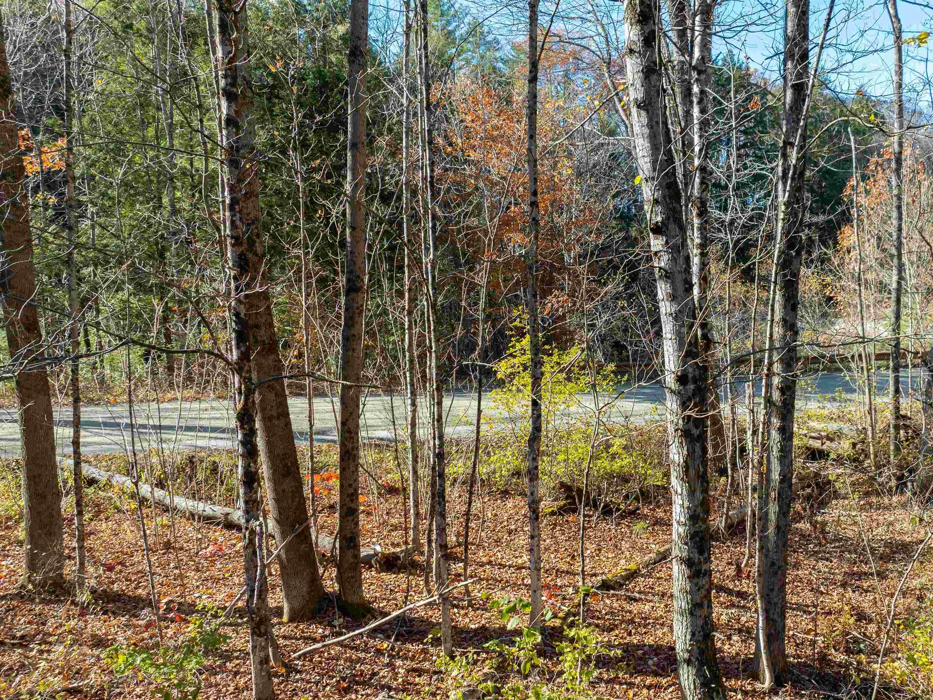 00 Carlton Hill Road Woodstock VT 05091