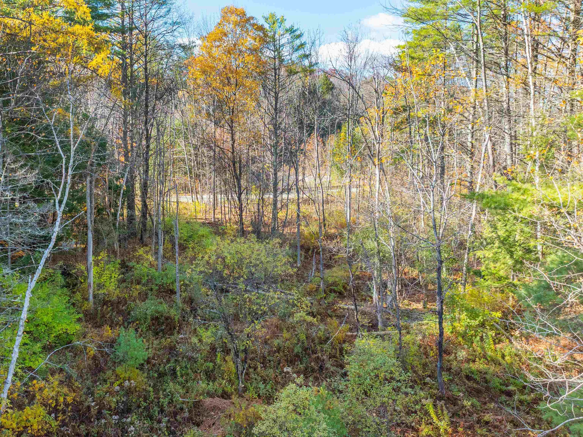 00 Carlton Hill Road Woodstock VT 05091