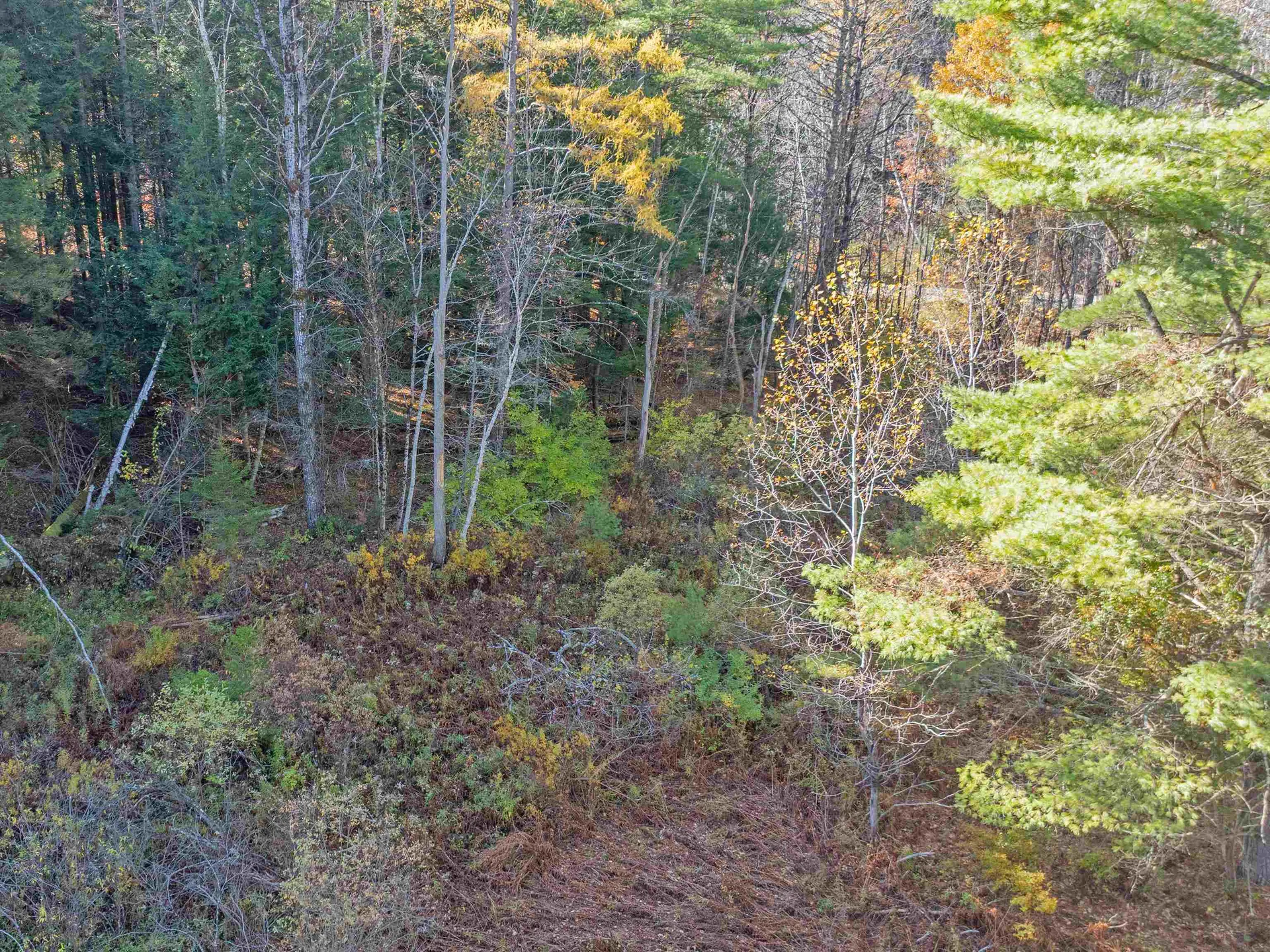 00 Carlton Hill Road Woodstock VT 05091