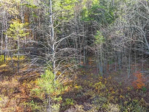 00 Carlton Hill Road Woodstock VT 05091