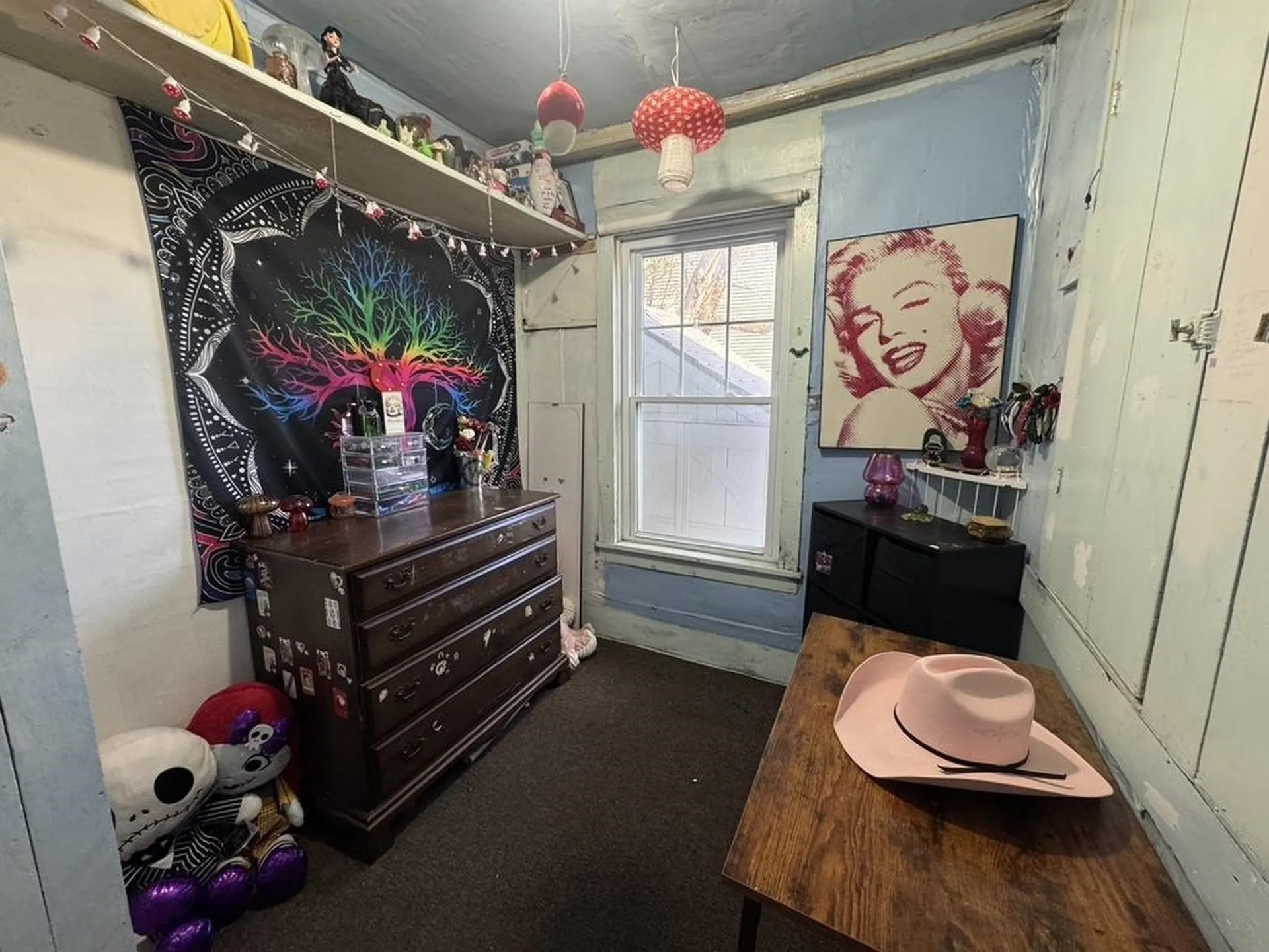 161 School Street Plainfield VT 05667