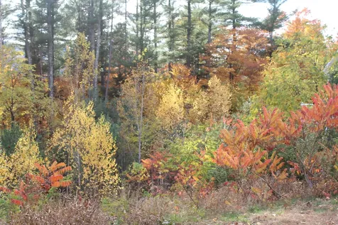 3 Beechwoods Drive Bartlett NH 03845