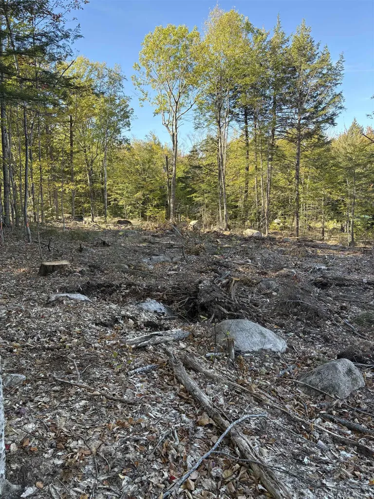 27 Sugarloaf Drive Ossipee NH 03814