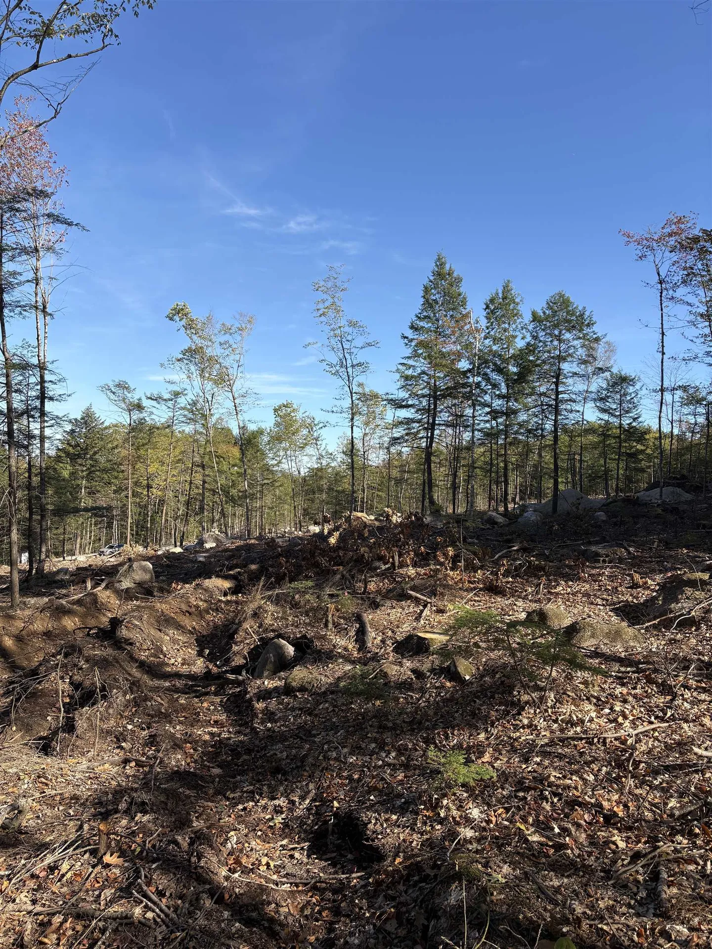 27 Sugarloaf Drive Ossipee NH 03814