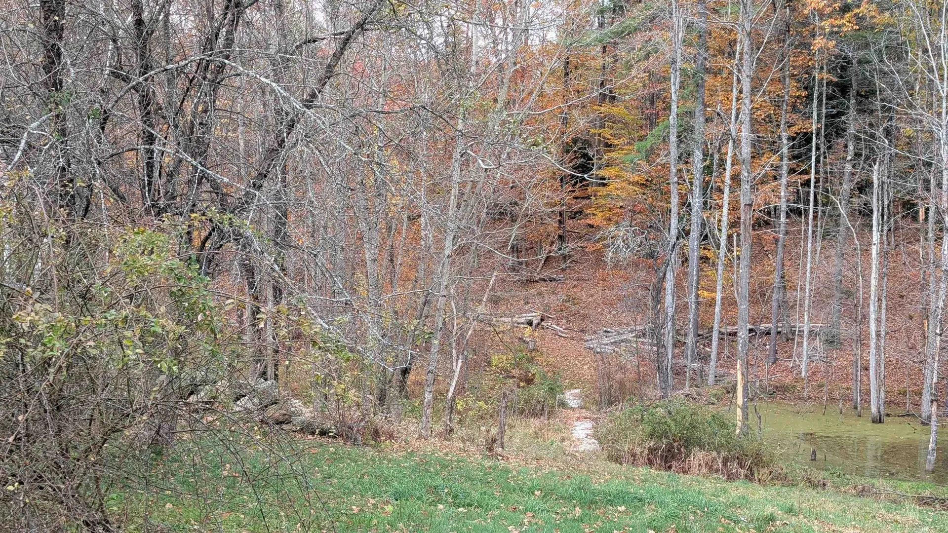 281 Hodgdon Road Weare NH 03281