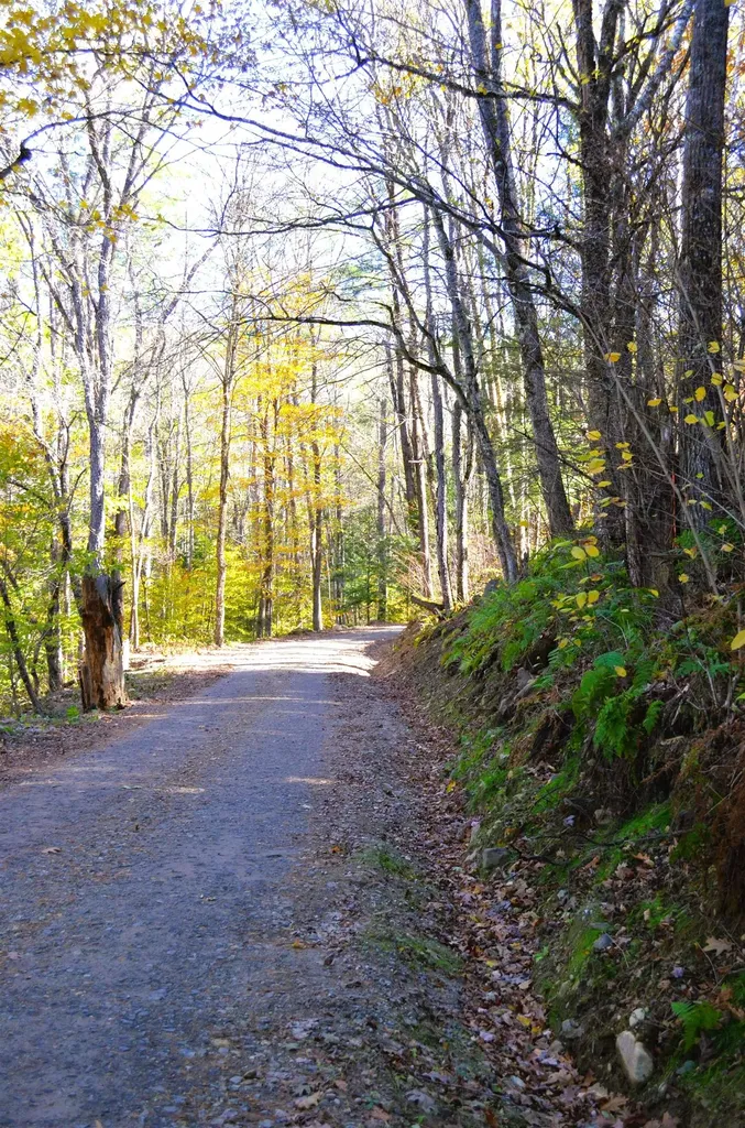 29&31 White Brook Road Gilsum NH 03448