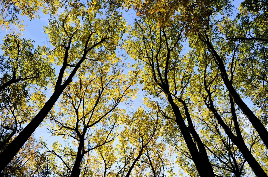 29&31 White Brook Road Gilsum NH 03448