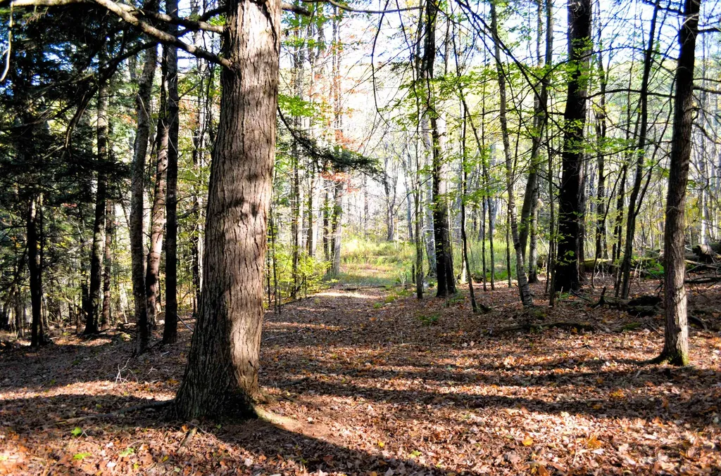 29&31 White Brook Road Gilsum NH 03448