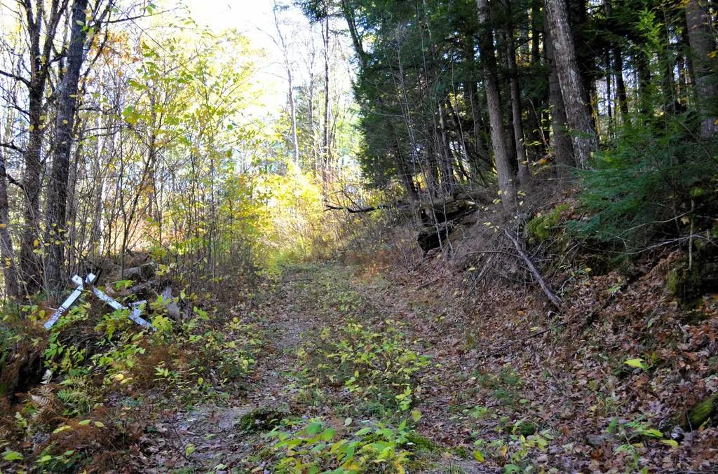 29&31 White Brook Road Gilsum NH 03448