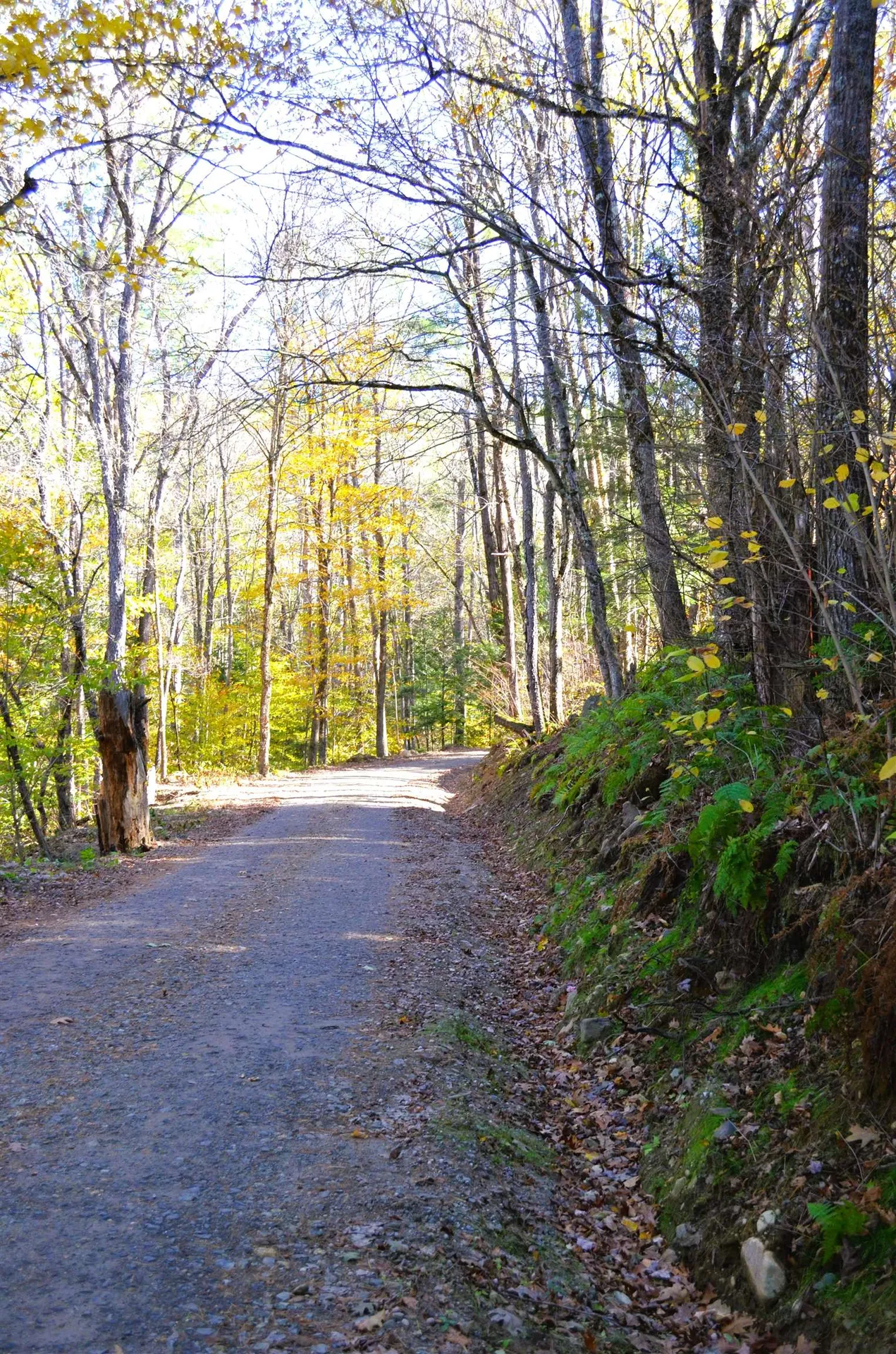 29&31 White Brook Road Gilsum NH 03448