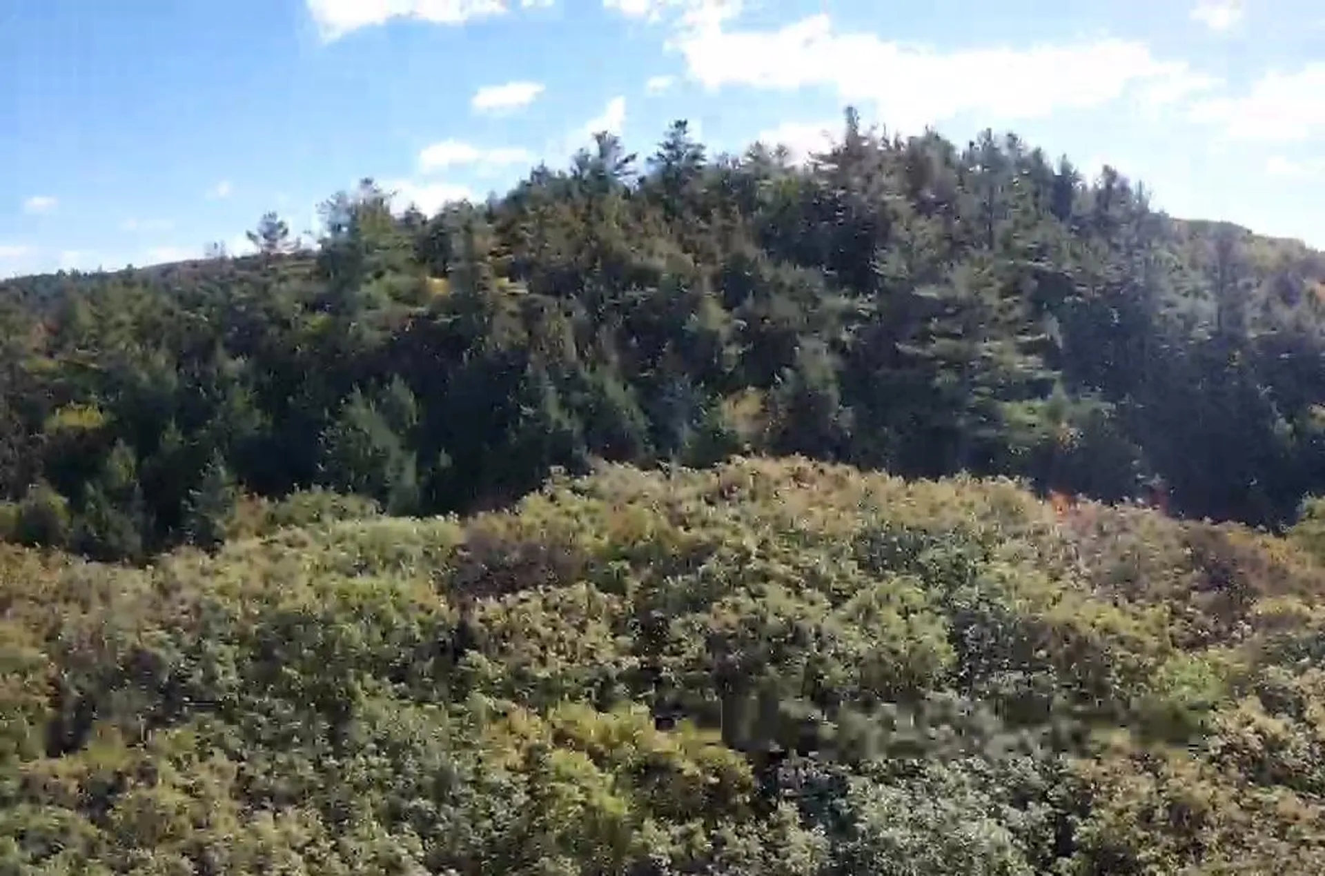 29&31 White Brook Road Gilsum NH 03448