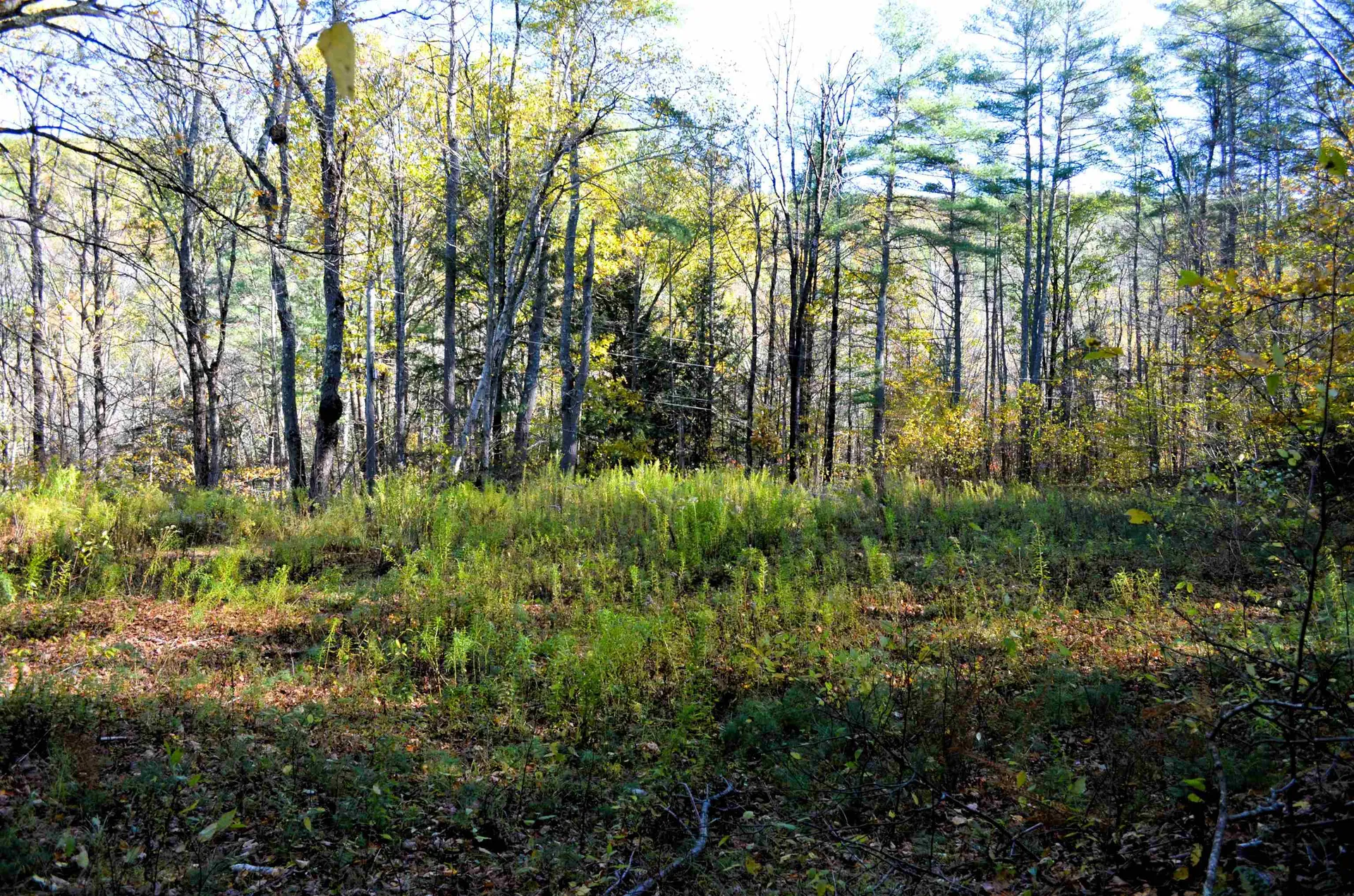 29&31 White Brook Road Gilsum NH 03448