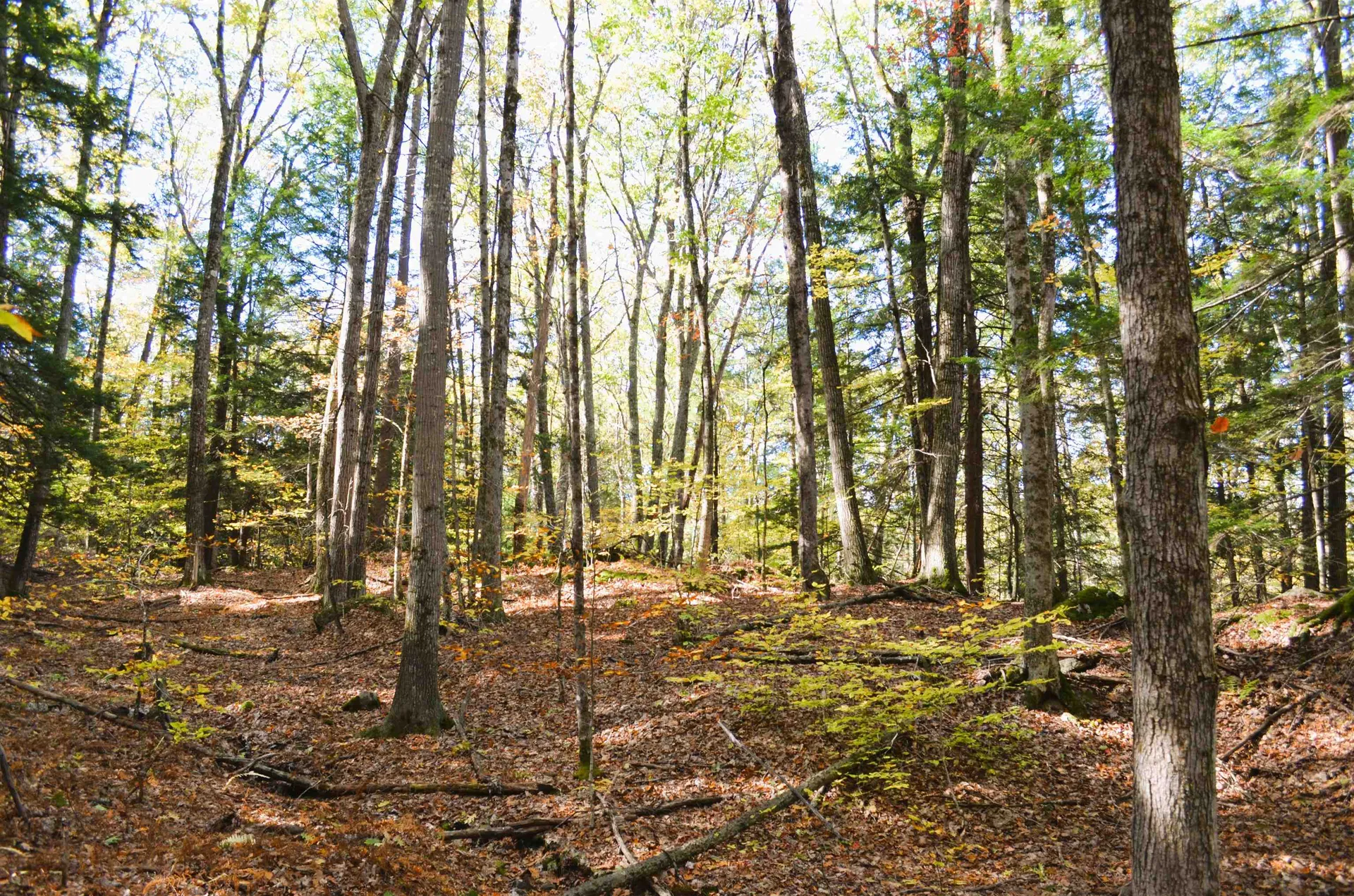 29&31 White Brook Road Gilsum NH 03448