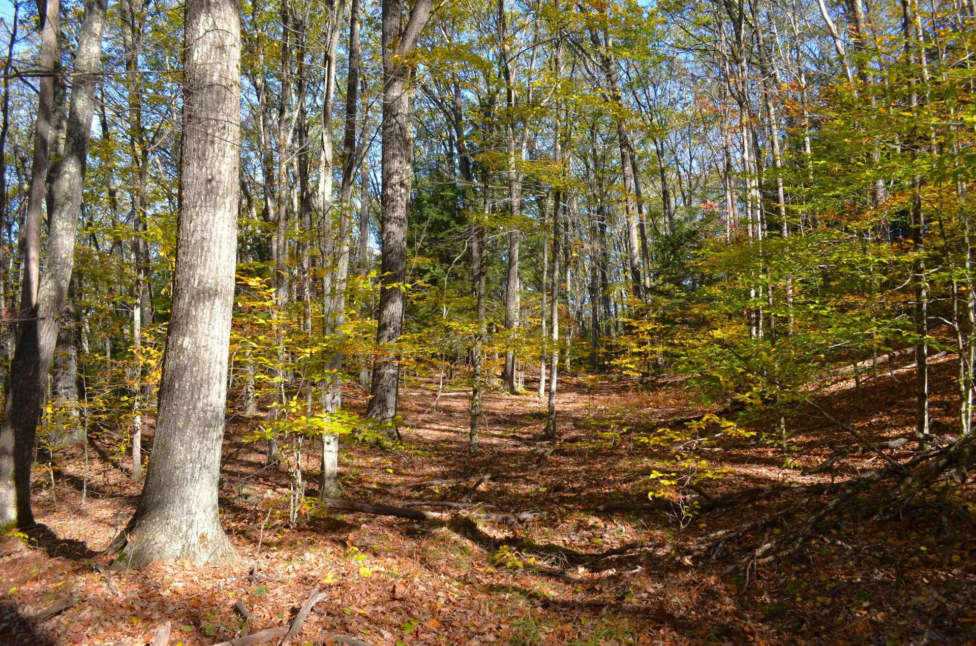 29&31 White Brook Road Gilsum NH 03448