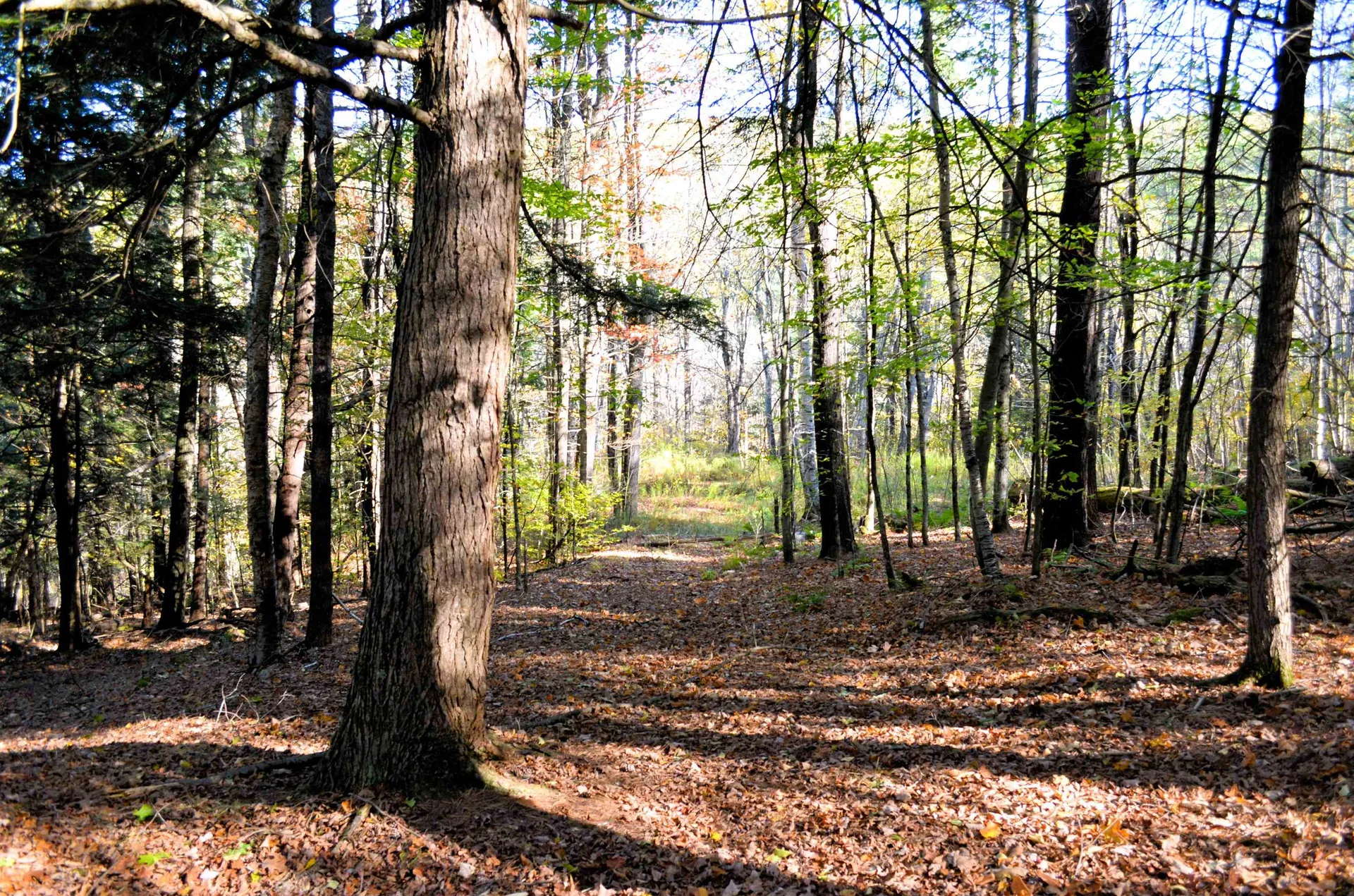 29&31 White Brook Road Gilsum NH 03448