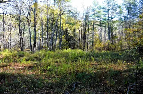 29&31 White Brook Road Gilsum NH 03448