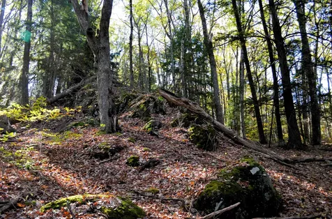 29&31 White Brook Road Gilsum NH 03448